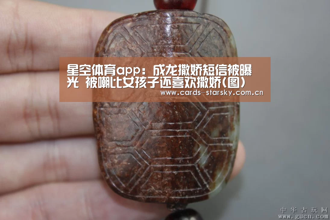 星空体育在线入口