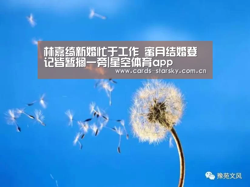 星空体育在线入口