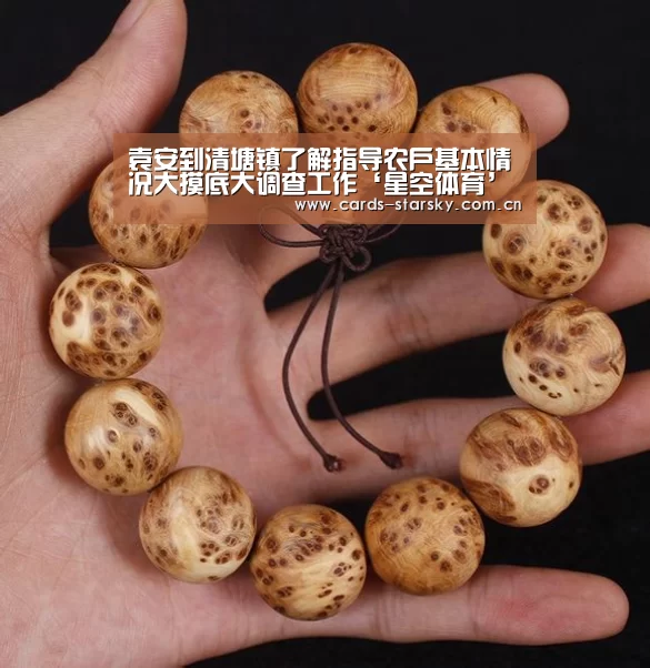 星空体育app