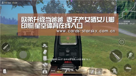 星空体育app